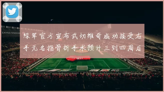 绿军官方宣布武切维奇成功接受右手无名指骨折手术预计三到四周后复查